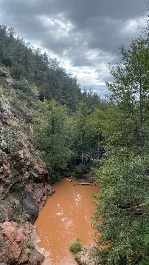 A winding river with reddish-brown water flows through a lush, green forest under a cloudy sky.