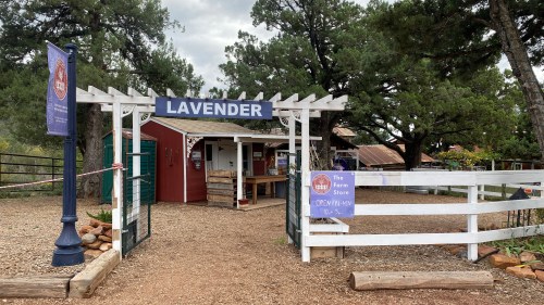 A rustic farm store entrance with a sign reading "Lavender," surrounded by trees and a white fence.