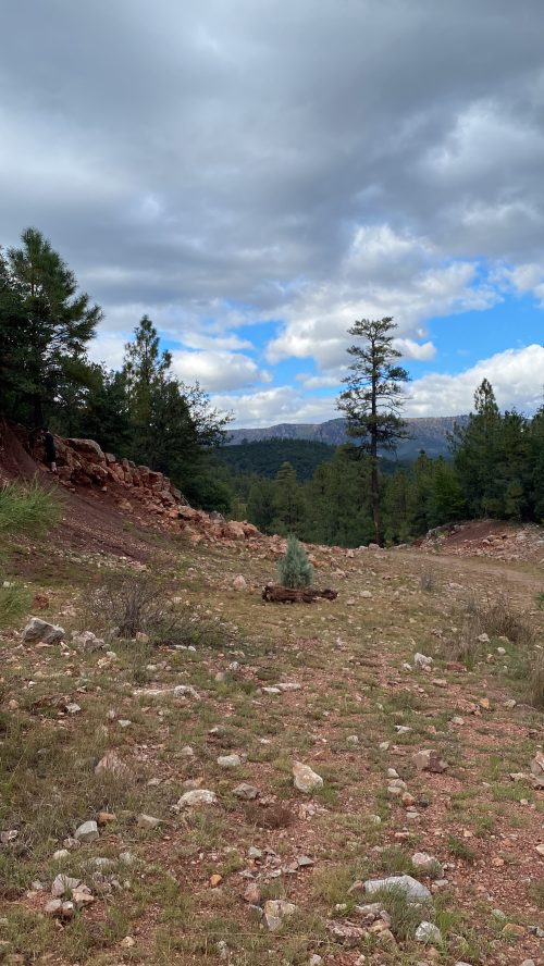 A rocky, grassy landscape with scattered trees and a cloudy sky in the background. Mountains are visible in the distance.