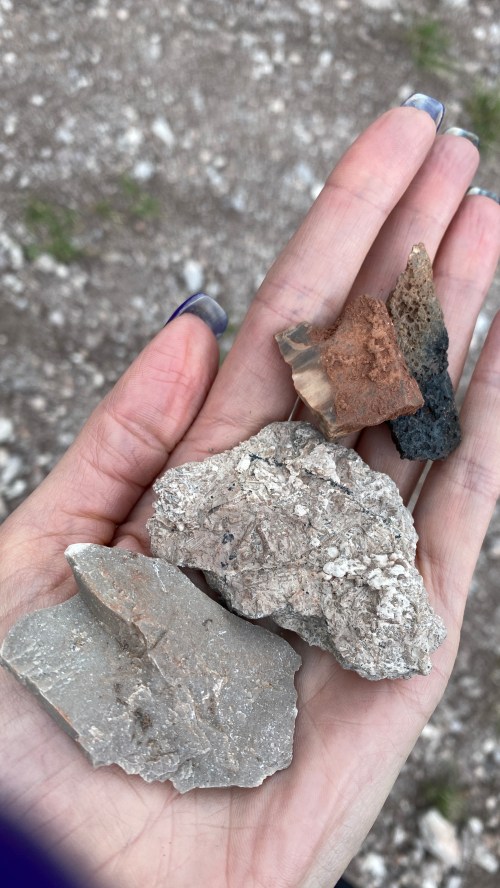 A hand holding four different types of rocks, showcasing various colors and textures against a gravel background.