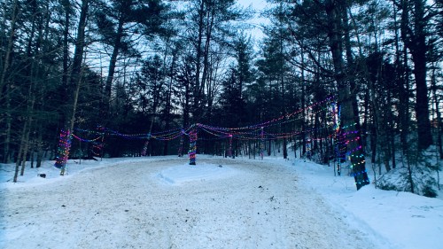 A snowy path winding through trees adorned with colorful holiday lights.