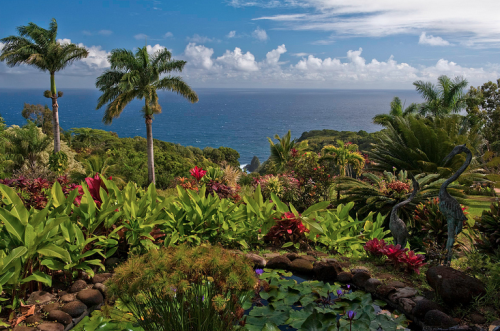 Lush tropical garden with vibrant flowers and palm trees overlooking a serene ocean under a partly cloudy sky.