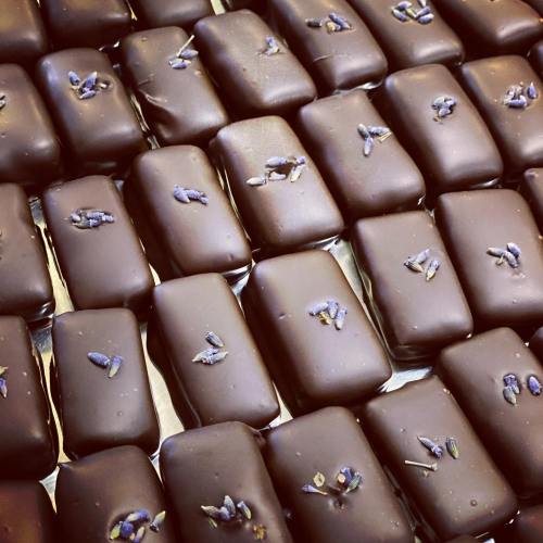 A close-up of chocolate-covered treats topped with lavender flowers, arranged neatly on a tray.