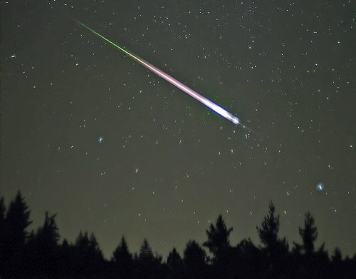 A bright meteor streaks across a starry night sky, with trees silhouetted in the foreground.