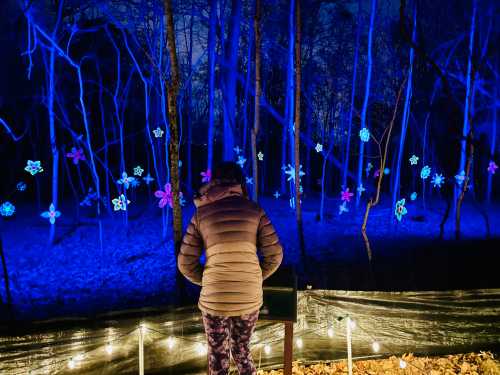 A person in a puffy jacket stands in front of illuminated flowers in a dark, blue-lit forest.