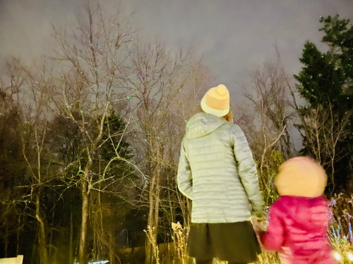 A woman and a child stand together, looking at trees adorned with colorful lights against a dark sky.