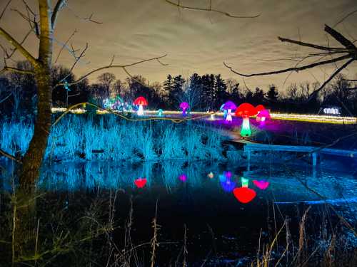 Colorful illuminated mushrooms reflect in a pond, surrounded by trees and a serene night sky.