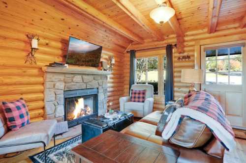 Cozy log cabin interior with a stone fireplace, comfortable seating, and a TV, creating a warm, inviting atmosphere.