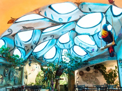 Colorful, artistic ceiling with organic shapes and a parrot, surrounded by plants in a vibrant indoor space.