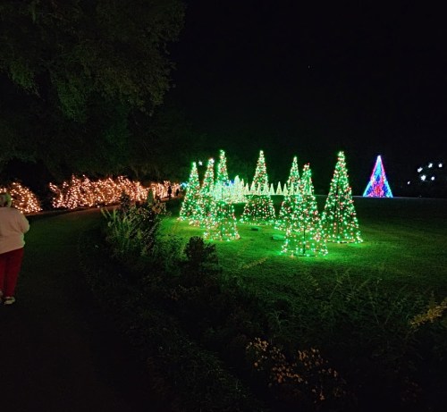 A festive display of illuminated Christmas trees and lights in a park at night, with a person walking along a path.