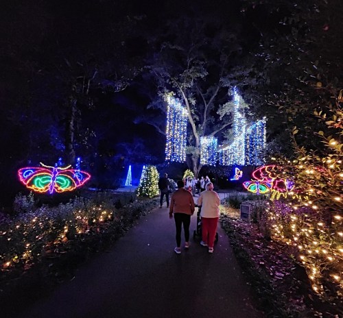 A couple walks down a path surrounded by colorful holiday lights and illuminated butterflies in a festive garden.