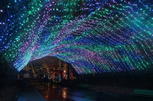 A vibrant display of colorful lights creates a canopy over a pathway, illuminating a festive atmosphere at night.