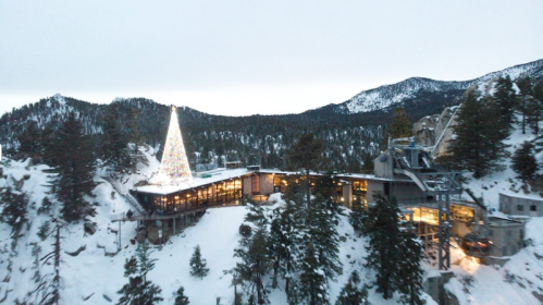 A snowy landscape featuring a modern building and a large illuminated Christmas tree against a mountain backdrop.