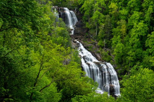 A scenic view of a cascading waterfall surrounded by lush green trees and foliage.