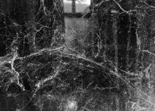Close-up of a dark surface covered in intricate spiderwebs, creating a textured, abstract pattern.