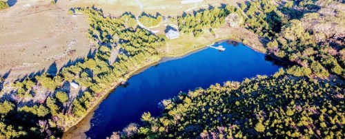 Aerial view of a serene pond surrounded by lush greenery and trees, with a small house nearby.