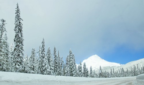 Snow-covered trees line a road with a mountain peak in the background under a cloudy sky.