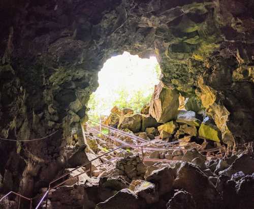 View from inside a cave, showing a rocky entrance illuminated by natural light and surrounded by greenery.