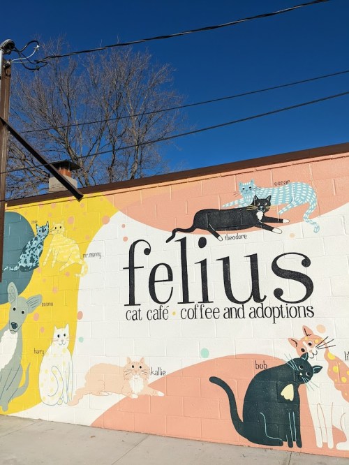 Colorful mural of cats and dogs with the text "felius cat café - coffee and adoptions" against a blue sky.
