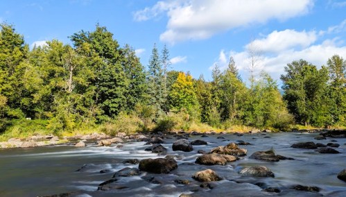A serene river flows over smooth rocks, surrounded by lush green trees and a bright blue sky with fluffy clouds.