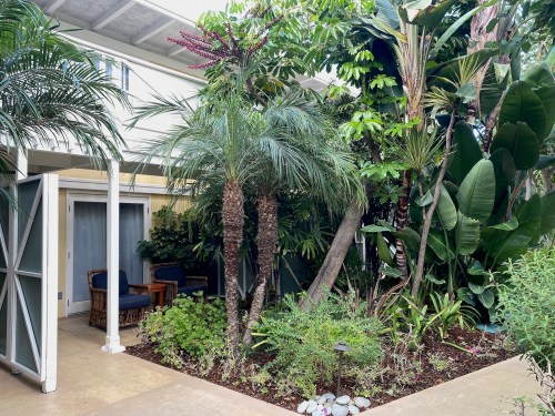 Lush indoor garden with tropical plants, palm trees, and a cozy seating area visible through open doors.