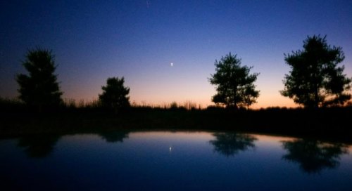 A serene twilight scene with silhouetted trees reflecting in still water under a gradient sky.