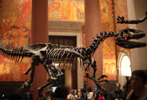 A dinosaur skeleton on display in a museum, surrounded by visitors and colorful murals in the background.