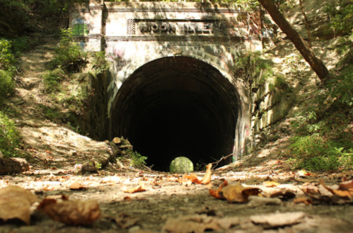 A dark tunnel entrance surrounded by trees and fallen leaves, with "Woodville" engraved above the arch.