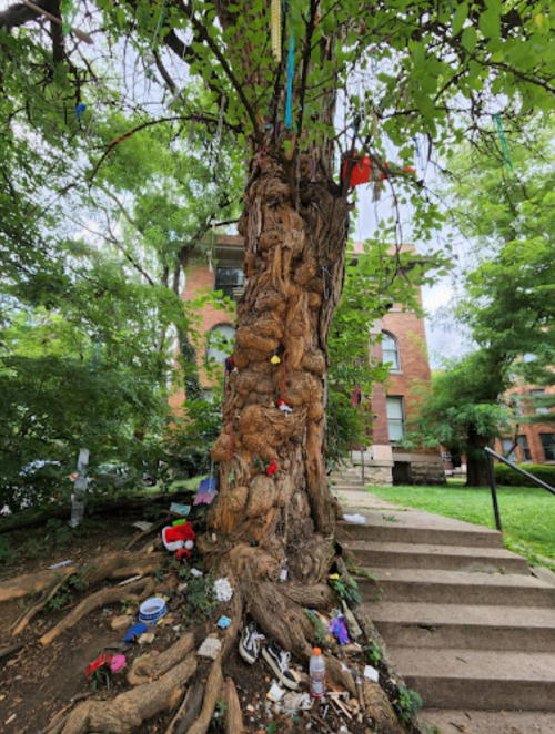 A large, textured tree with colorful decorations and small items at its base, set against a brick building and greenery.