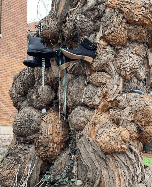 A gnarled tree trunk adorned with shoes and beads hanging from its textured surface.
