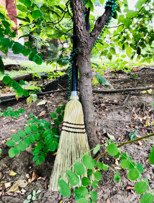 A broom leaning against a tree, surrounded by green foliage and earthy ground.