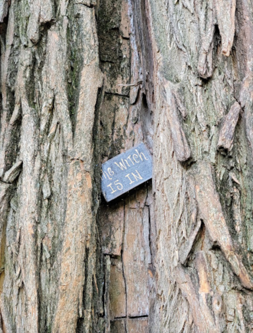A small sign reading "The Witch Is In" is nestled in the bark of a tree.