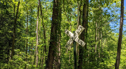 A wooden trail sign at a forest intersection, surrounded by lush green trees.