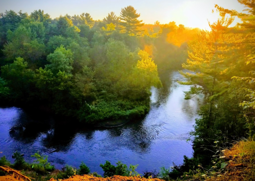 A serene river flows through lush green trees, illuminated by a warm sunrise.