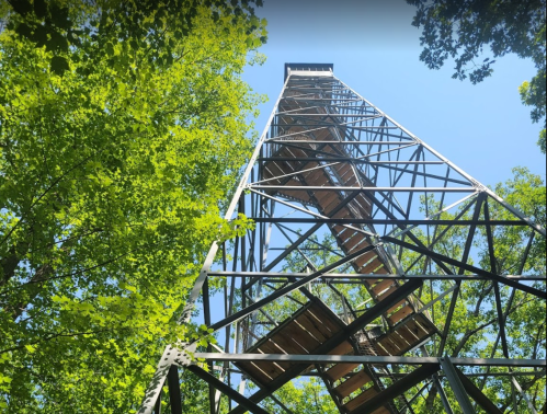 A tall metal observation tower surrounded by lush green trees against a clear blue sky.