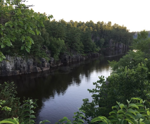 A serene river flows between rocky cliffs, surrounded by lush green trees under a clear sky.