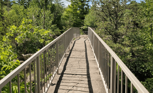 A narrow wooden bridge surrounded by lush green trees and foliage, leading into a serene natural setting.