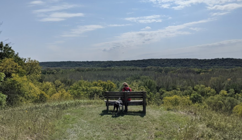 A person and a dog sit on a bench overlooking a lush green landscape under a blue sky.