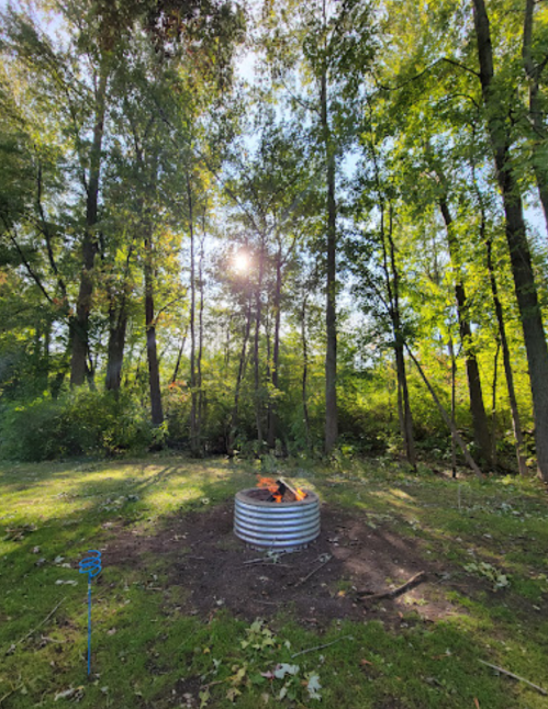 A fire pit surrounded by trees, with sunlight filtering through the leaves on a clear day.