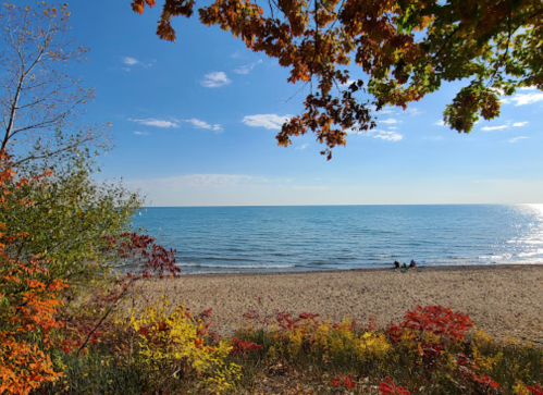 A serene beach scene with calm water, sandy shore, and colorful autumn foliage in the foreground.