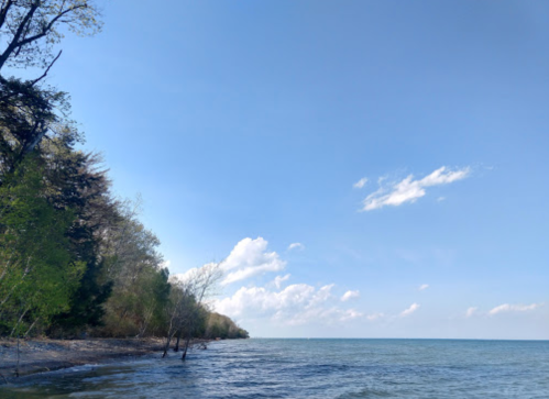 A serene lakeside view with clear blue skies, gentle waves, and trees lining the shore.