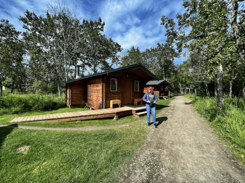 A person walks along a path beside wooden cabins, surrounded by trees and greenery under a blue sky.