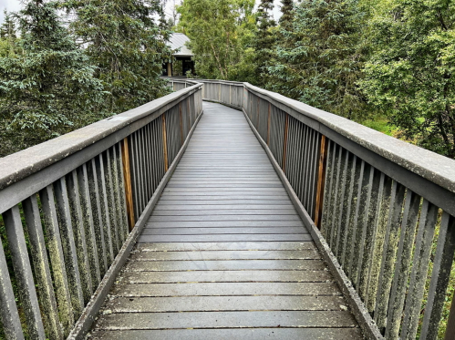 A wooden walkway curves through lush greenery, surrounded by trees on both sides.