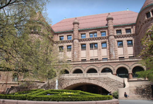 Exterior view of the American Museum of Natural History, featuring ornate architecture and lush greenery.