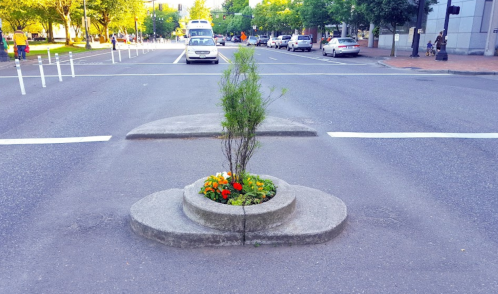 A small tree and colorful flowers grow in a circular planter in the middle of a wide street.