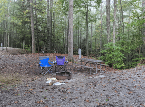 A campsite in a forest with two blue chairs, a picnic table, and a fire pit surrounded by trees and fallen leaves.