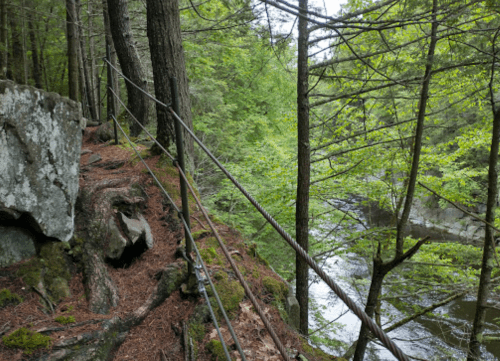 A forested path alongside a river, with rocky terrain and trees lining the water's edge.