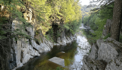A serene river flows through a rocky landscape, surrounded by lush green trees and sunlight filtering through the foliage.