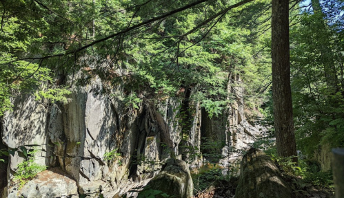 A rocky landscape surrounded by lush green trees in a forest setting. Sunlight filters through the foliage.