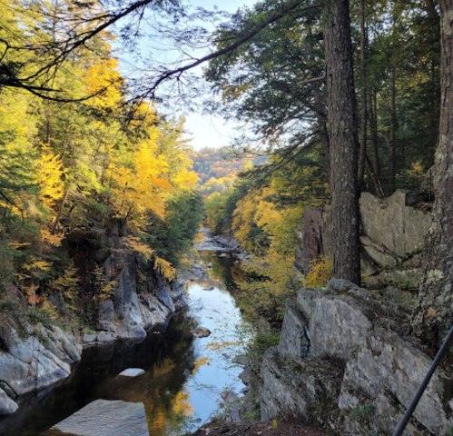 A serene river flows through a forest with vibrant autumn foliage and rocky banks under a clear blue sky.